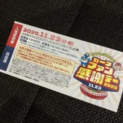 カープファン感謝デー2025 自由席入場券のサムネイル