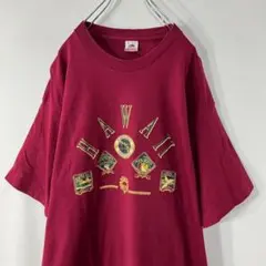 スーベニア　ヴィンテージ　Tシャツ　XL　ビッグサイズ　HAWAII　入手困難