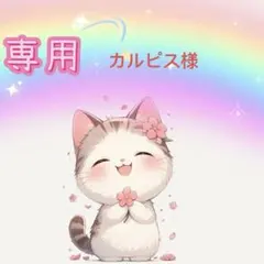 칼피스 전용 페이지