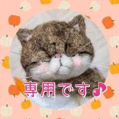 ダヤンチコちゃん様専用のページです♪