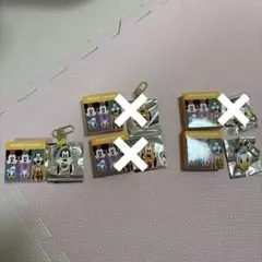 ディズニー　シークレットチャーム　2種