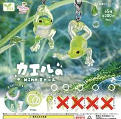 カエルのMineチャーム カエル マスコット くったり