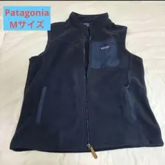 2025年最新】パタゴニア ベスト メンズ mの人気アイテム - メルカリ