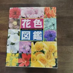 花色図鑑