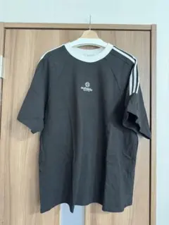 Item thumbnail for item 2f6da310-5a34-49db-97e0-d34ff74f0a3a