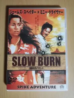 スクワーム('76米)ホラー映画 スクワーム('76米)ホラー映画 - メルカリ