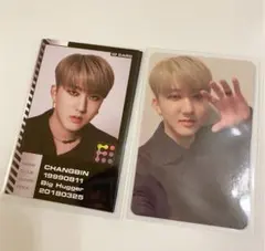 チャンビン　トレカ