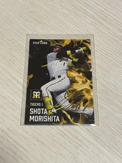 森下翔太 スターカード サイン入り