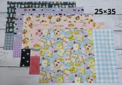 Item thumbnail for item bc5e07b1-9a24-4887-8bbc-fcd919885e6b