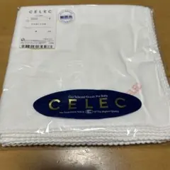 Item thumbnail for item 37a6e911-9a1f-4754-ab9f-b2f65e4eacf4