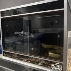 Item thumbnail for item ad19325b-3772-4d59-91f2-86bf3ccebf6d