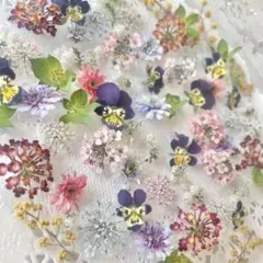 No.98 小花のドライフラワーセット