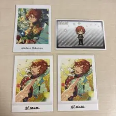 三毛縞斑 ぱしゃっつ パシャこれ