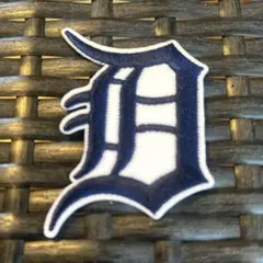 Item thumbnail for item 008590d9-76a1-4f48-a64c-d7e57e96d0bf