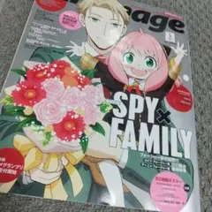 雑誌