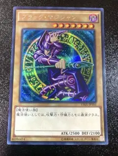 遊戯王　ブラックマジシャン　シークレット