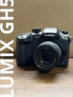 2026年最新】lumix 14 45mmの人気アイテム - メルカリ