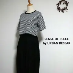 センスオブプレイス【極美品】ボーダー半袖Tシャツショート丈クロップド丈綿100%のサムネイル
