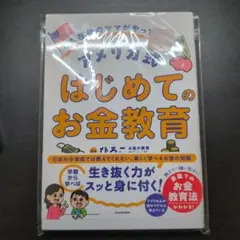 【美品】LA在住のママがやっている アメリカ式・はじめてのお金教育