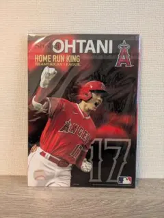 超レア】B5サイズ 大谷 翔平 選手 メジャー移籍の記者会見 記念品