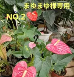 ハワイアンキルトポーチ☆まゆまゆ様専用NO.2☆３点セット