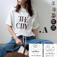 【在庫処分セール】Tシャツ　ブラウン