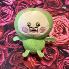 こびとづかん　スモモノウチ　ぬいぐるみ