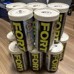ダンロップ FORT テニスボール 12缶セット