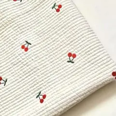 Item thumbnail for item 08e1ba8e-ccf2-4206-ab94-206fc279dde3