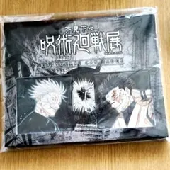 呪術廻戦　呪術廻戦展　ビッグスクエア　缶バッジ　五条悟　VS 両面宿儺