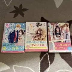 野いちご文庫 3冊セット