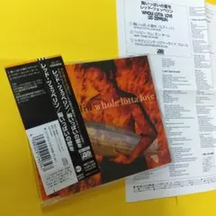 レッド・ツェッペリン　胸いっぱいの愛を