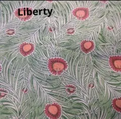 Item thumbnail for item a4b103eb-d3c9-47f4-afc0-a84804415c7a