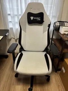 SECRETLAB TITAN EVO ARCTIC WHITEゲーミングチェア
