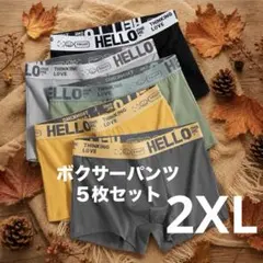 メンズ ボクサーパンツ 5枚セット メッシュ 通気性 前閉じ 吸汗速乾　2XL