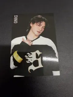 SEVENTEEN HOME トレカ ディノ