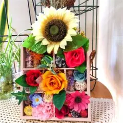 そのまま飾れる多肉植物寄せ植え こぼれ鉢 管理書付き - メルカリ