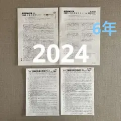 2024年 日能研6年 合格力育成テスト総合　10回