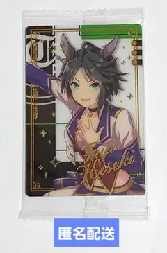 ウマ娘 プリティーダービー ツインウエハースカード　フジキセキ