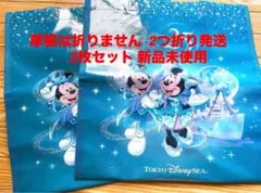 ディズニーシー 25周年 ショッピングバッグ XS 2枚セット