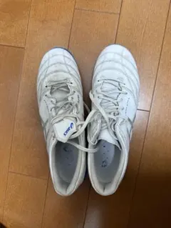 DS LIGHT X-FLY