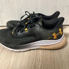 Item thumbnail for item 2e0e582a-bb4c-4e6f-a99b-4991f97c4c75