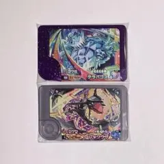 ポケモンフレンダ　テラパゴス　ステラ　黒いレックウザ　ワンダー