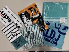公式認定】SHINEE WORLD 2013 タオル5枚（コンプリート） - メルカリ
