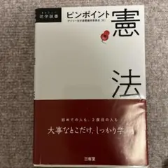 ピンポイント憲法