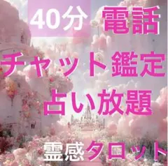 23時まで応援価格⭐️電話占いorチャット40分 ♡霊感タロット占い放題❣️