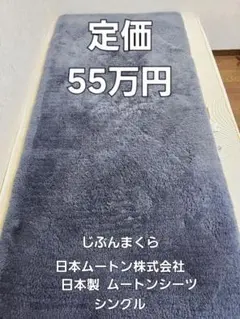 2026年最新】じぶんまくらムートンの人気アイテム - メルカリ
