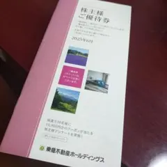 東急不動産ホールディングス 株主優待券 /100株 2025年6月発行