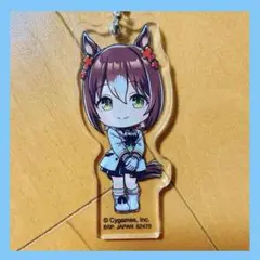 ⭐️大特価❣️⭐️一番くじ ウマ娘 5弾 G賞 アクリルチャーム ファインモーション