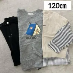 ブランシェス プティマイン ロンT 裏起毛トレーナー 長ズボン 長袖 120